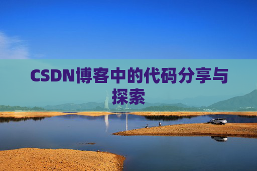 CSDN博客中的代码分享与探索